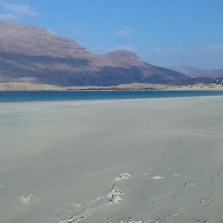 Ocean رينفيلي