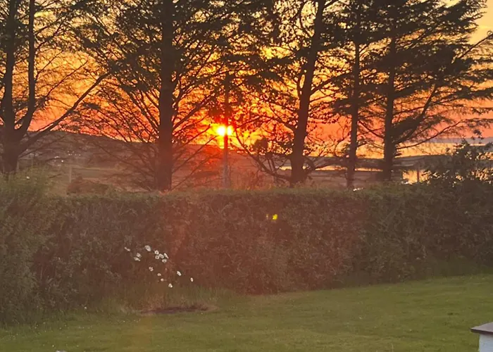 Ocean レンバイル