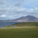 Ocean 4*